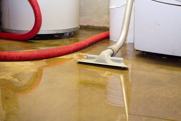 Best Mold removal after water damage  in Terre Hill, PA