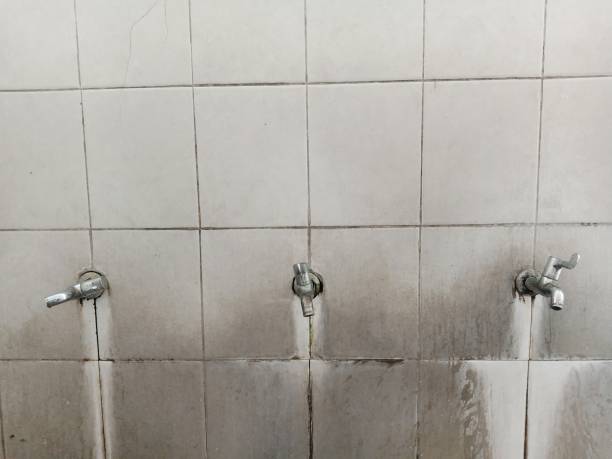 Best Flood damage cleanup  in Terre Hill, PA