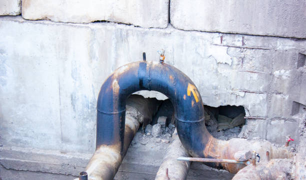 Best Water damage cleanup near me  in Terre Hill, PA